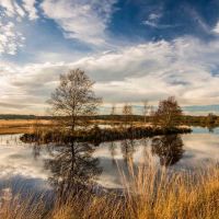 Cors Caron - local nature reserve - birdwatching