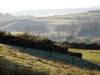 View from cottages